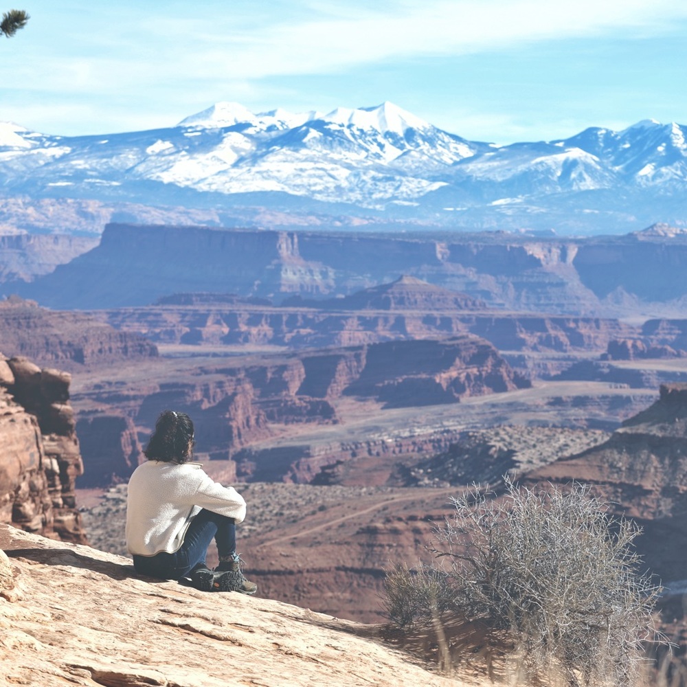 Meet your Posher, Amelia